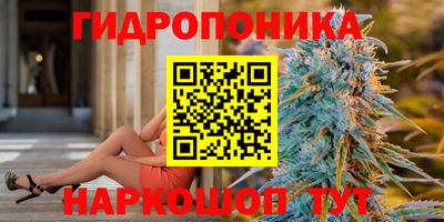 МДПВ Донецк