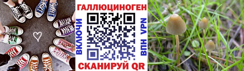 Галлюциногенные грибы ЛСД  Люберцы 