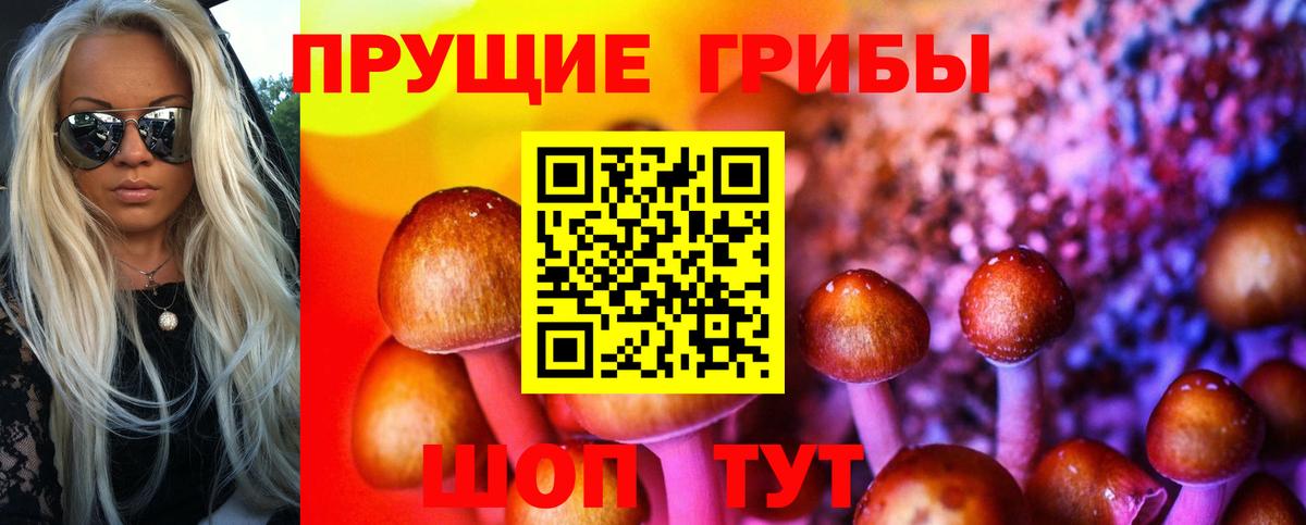 Галлюциногенные грибы MAGIC MUSHROOMS Люберцы