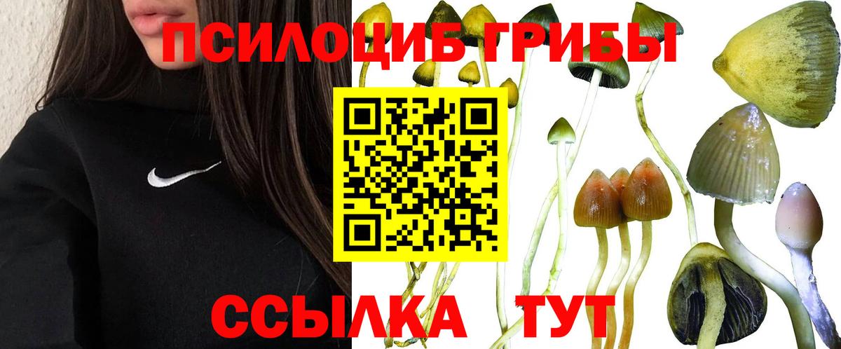 Псилоцибиновые грибы Psilocybine cubensis  Галлюциногенные грибы мицелий  Вход с VPN  Люберцы 
